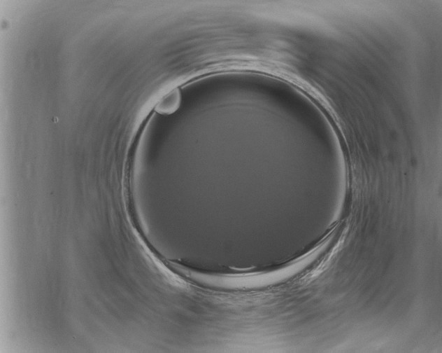 X0000068841533200605051249