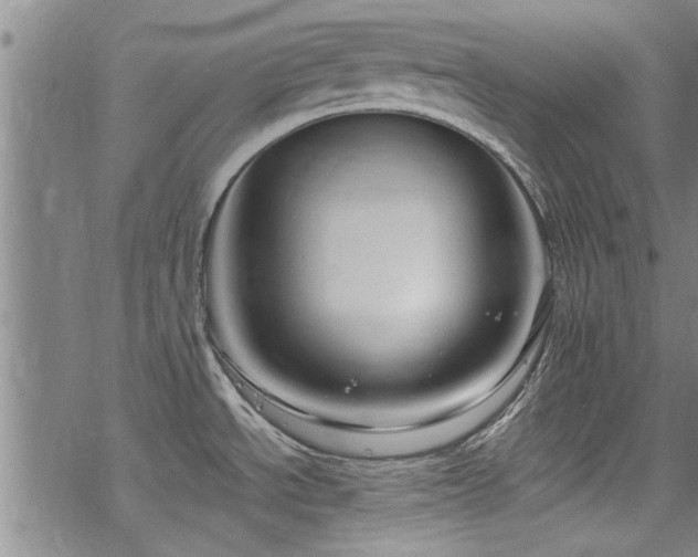 X0000068841534200605051249