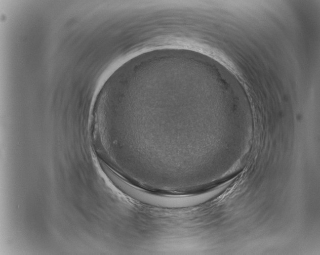 X0000068841536200605051249