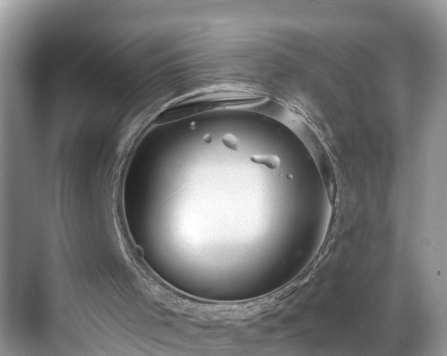 X0000068840001200605081251