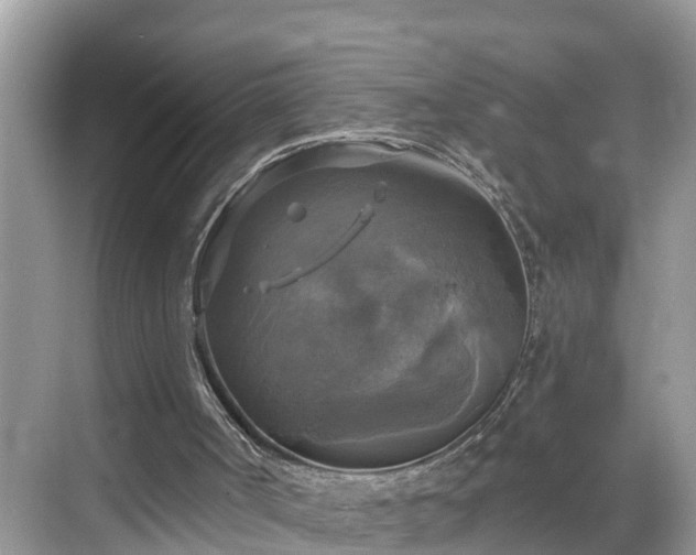 X0000068840002200605081251