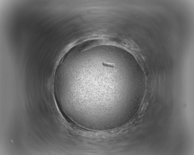 X0000068840003200605081251