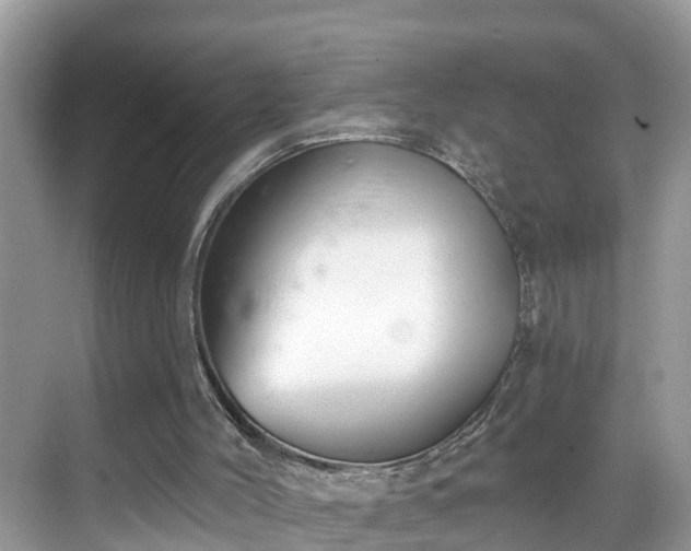 X0000068840004200605081251