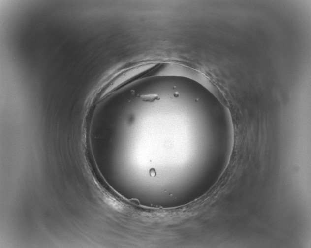 X0000068840005200605081251