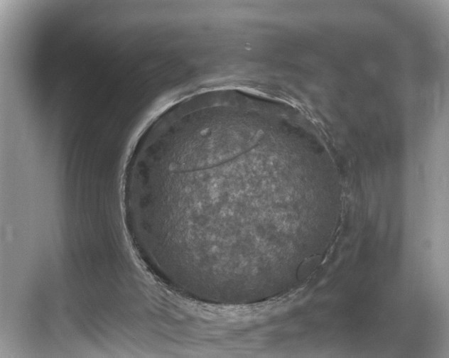 X0000068840006200605081251