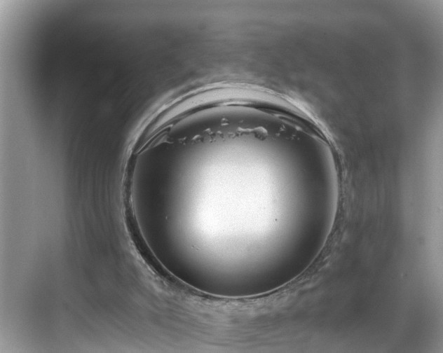 X0000068840007200605081251