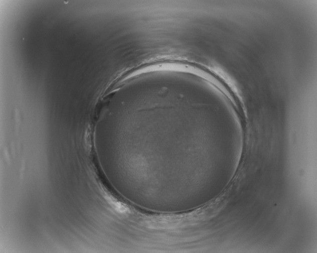 X0000068840009200605081251