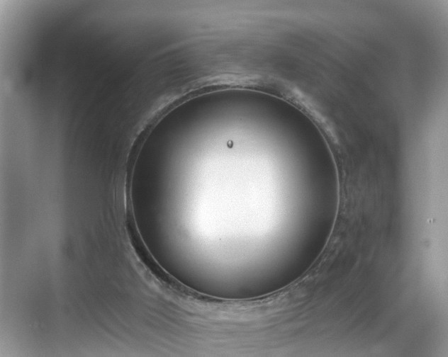 X0000068840011200605081251