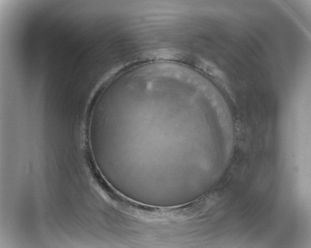 X0000068840012200605081251