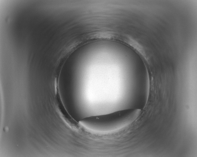 X0000068840013200605081251