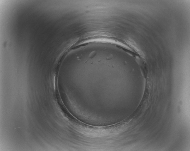 X0000068840014200605081251