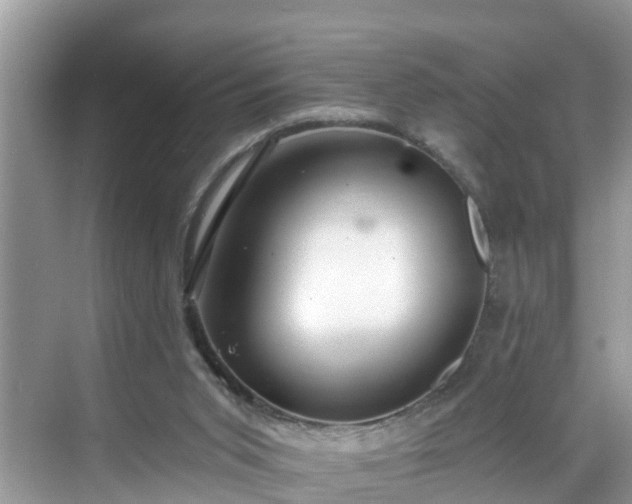 X0000068840015200605081251