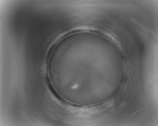 X0000068840016200605081251