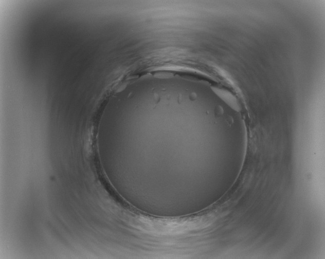 X0000068840018200605081251