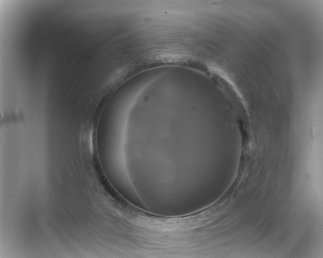 X0000068840019200605081251