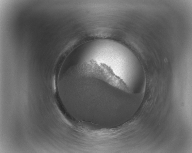 X0000068840020200605081251