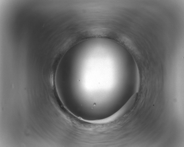 X0000068840021200605081251