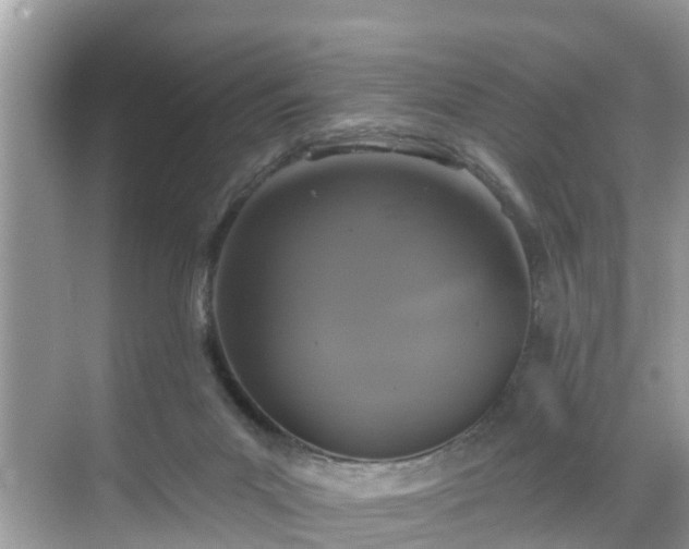 X0000068840023200605081251