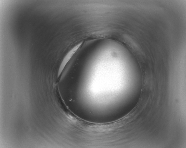 X0000068840025200605081251