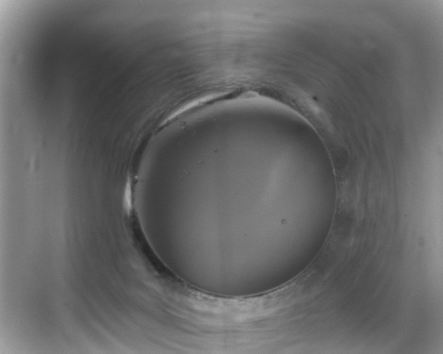 X0000068840027200605081251