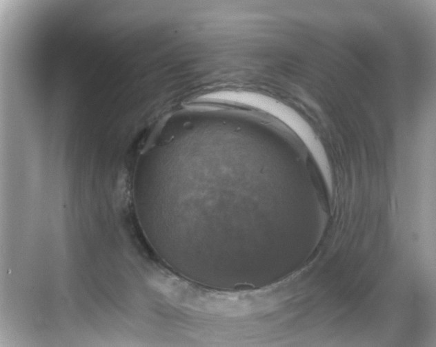 X0000068840029200605081251