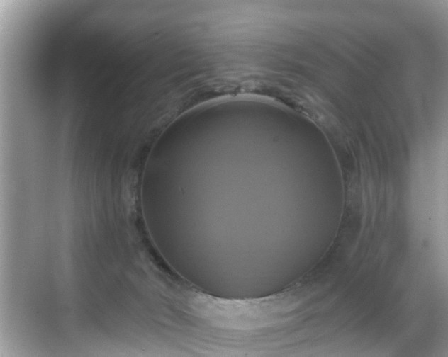 X0000068840030200605081251