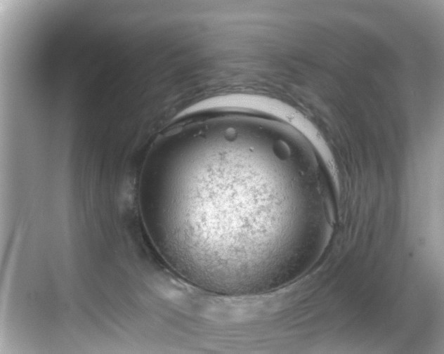 X0000068840033200605081251