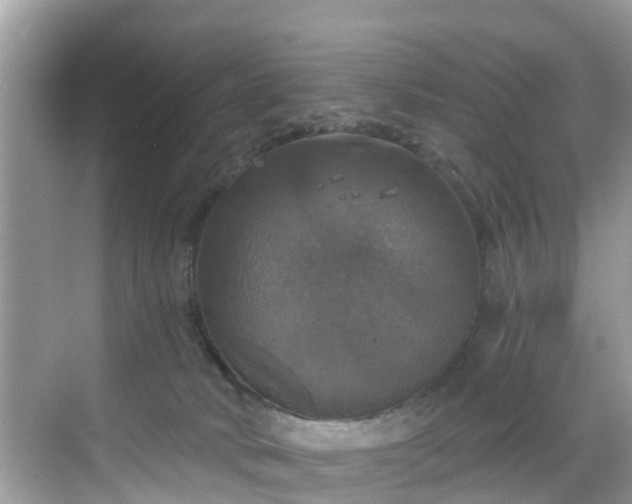 X0000068840034200605081251