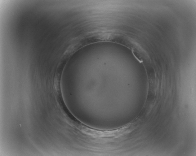 X0000068840035200605081251