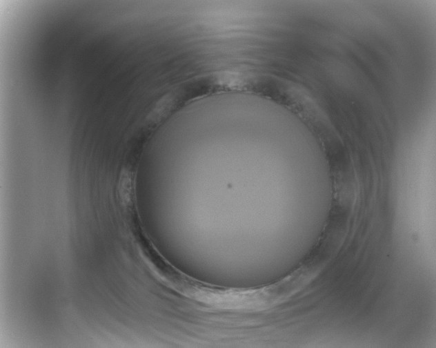 X0000068840036200605081251