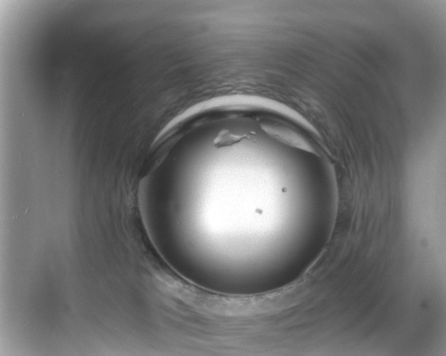 X0000068840037200605081251