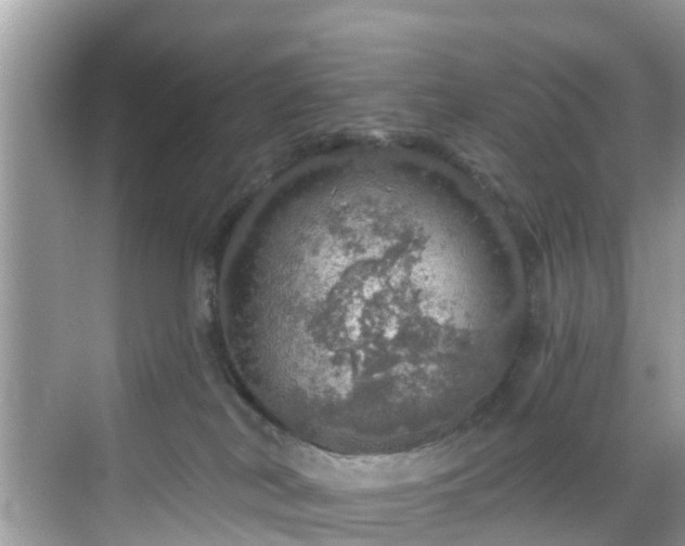 X0000068840038200605081251