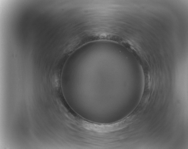 X0000068840039200605081251