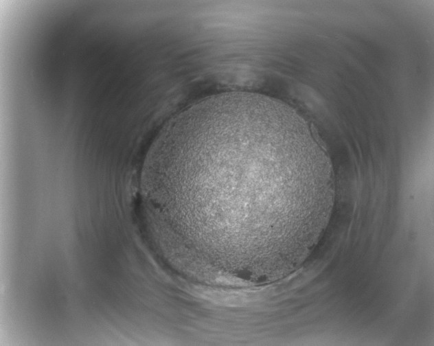 X0000068840040200605081250