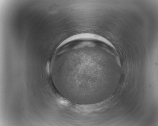 X0000068840041200605081250