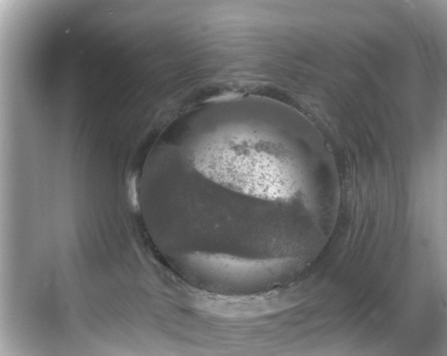 X0000068840042200605081250