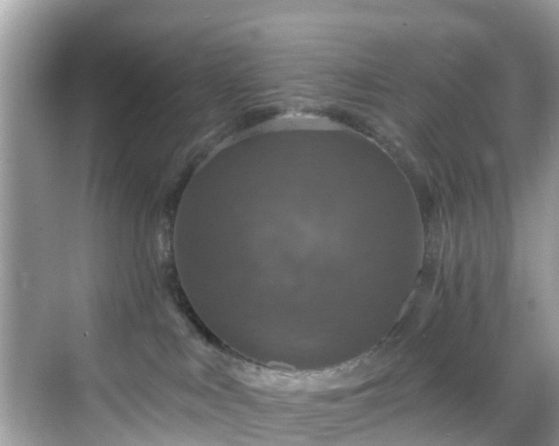 X0000068840043200605081250