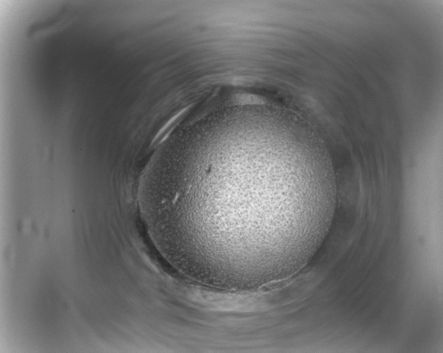 X0000068840044200605081250