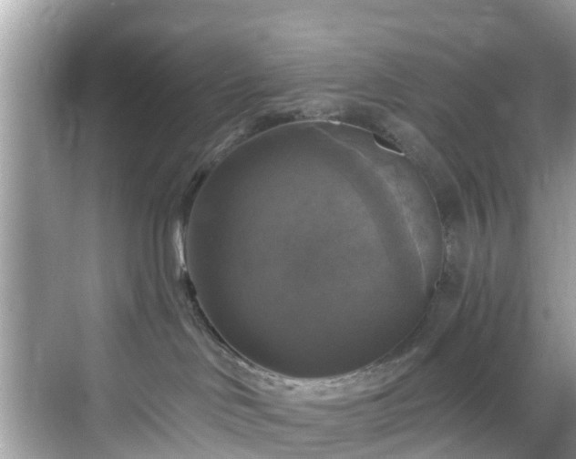 X0000068840046200605081250