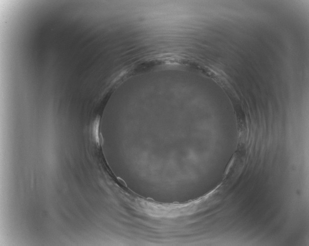 X0000068840047200605081250