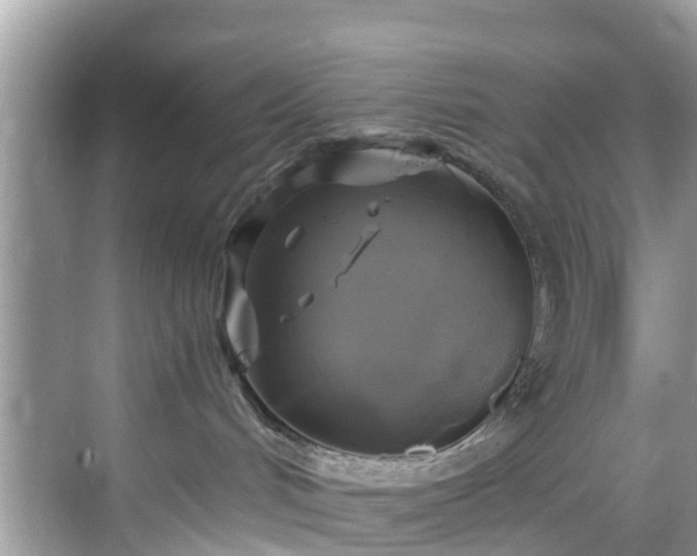 X0000068840048200605081250