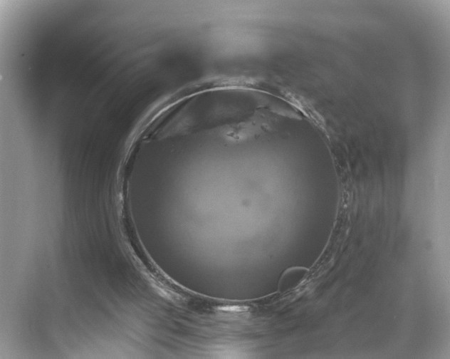 X0000068840053200605081250