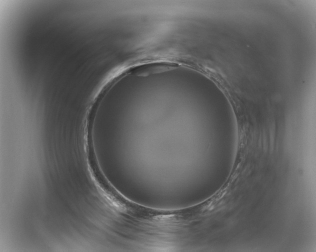 X0000068840054200605081250