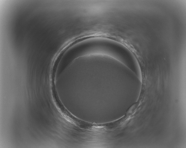 X0000068840055200605081250