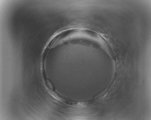 X0000068840056200605081250