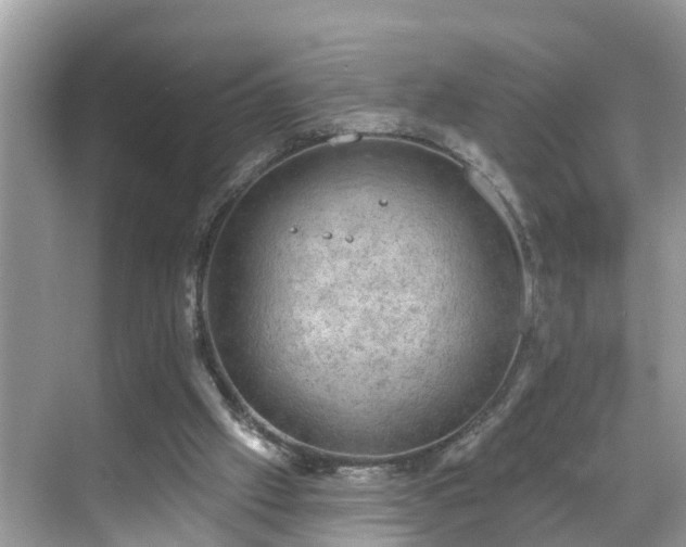 X0000068840057200605081250