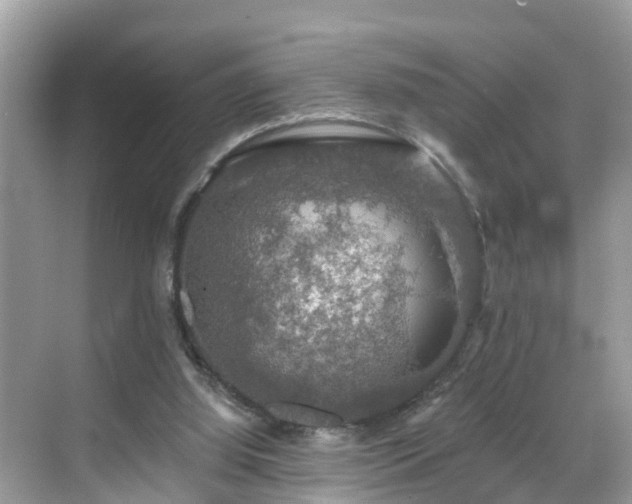 X0000068840060200605081250