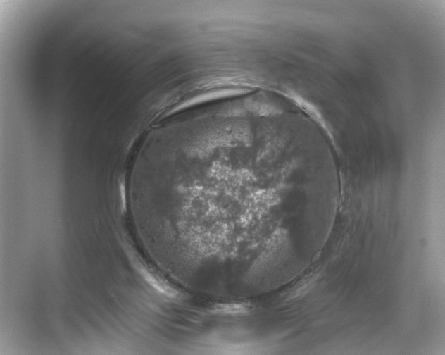 X0000068840061200605081250