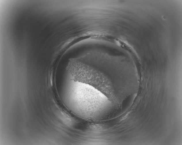 X0000068840062200605081250