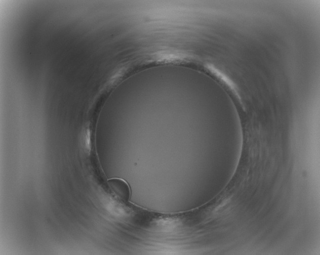 X0000068840067200605081250